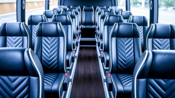 wilmington 28 passenger minibus rental